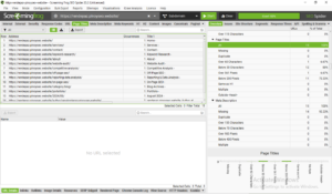 ScreamingFrog SEO Audit Result
